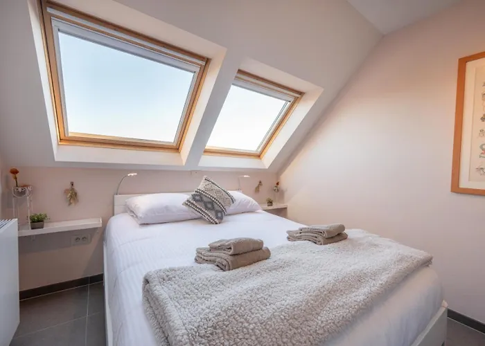 Bright Seaview With Terrace In Apartment