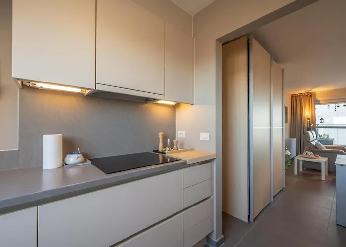 Apartment Bright Seaview With Terrace In *